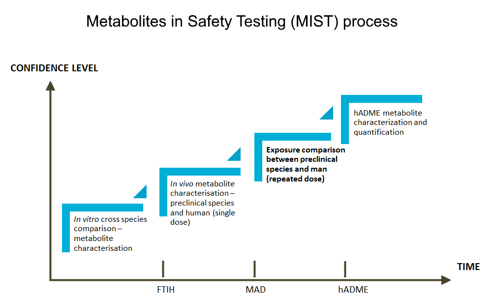 Metabolites in safety testing (MIST) process